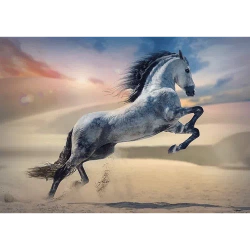 PUZZLE 1000 ELEMENTÓW MAJESTATYCZNY KOŃ GALOPUJĄCY O ZACHODZIE SŁOŃCA TREFL