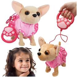 PIESEK CHODZĄCY INTERAKTYWNY NA SMYCZY CHIHUAHUA SZCZEKA PIERWSZY PUPIL