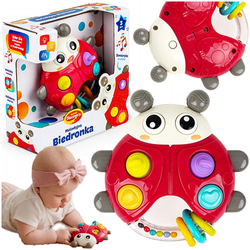 MELODYJNA BIEDRONKA GRZECHOTKA SENSROYCZNA KORALIKOWA KARUZELA ŚWIECI DUMEL