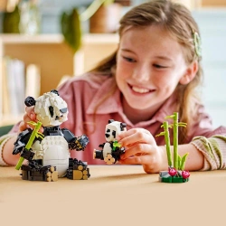LEGO CREATOR 3w1 DZIKIE ZWIERZĘTA RODZINA PAND PINGWIN ORKA 626 EL. 31165