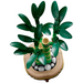 LEGO ICONS DRACENA SANDERA BOTANICALS DRZEWKO BAMBUS 325EL. 10344 + TORBA