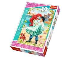 PUZZLE SPOTKANIE NA PLAŻY KSIĘŻNICZKI 100 EL TREFL