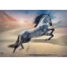 PUZZLE 1000 ELEMENTÓW MAJESTATYCZNY KOŃ GALOPUJĄCY O ZACHODZIE SŁOŃCA TREFL