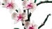 LEGO ICONS ORCHIDEA STORCZYK KWIATY OKOLICZNOŚCIOWE BOTANICAL 10311 + 40725