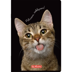 ZESZYT A5 KRATKA 60 KARTEK MARGINES HERLITZ CRAZY ANIMALS ZWIERZĘTA - 5 szt