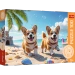 PUZZLE 100 ELEMENTÓW PSY CORGI NA PLAŻY UKŁADANKA DLA DZIECI TREFL 16536