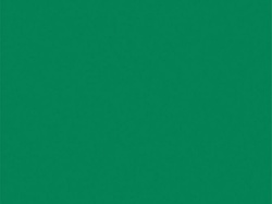 BRYSTOL A1 KARTON PAPIER 86X61 CM ZIELONY CIEMNY - 6 sztuk