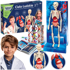 CIAŁO LUDZKIE ANATOMIA CZŁOWIEKA SZKIELET NAUKOWA ZABAWA CLEMENTONI