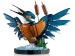 LEGO ICONS PTAK ZIMORODEK RUCHOMY MODEL KOLEKCJONERSKI KINGFISHER 834 EL.