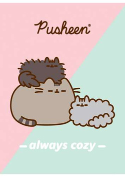 ZESZYT W 3 LINIE A5/32 KARTKI PUSHEEN KOTEK LAMINOWANY ZESTAW 4w1 UNIPAP