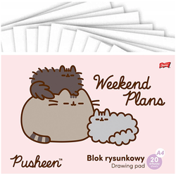 BLOK RYSUNKOWY A4 BIAŁY 20K KOT PUSHEEN SZKOLNY ST. MAJEWSKI - 10 sztuk