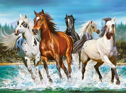 PUZZLE ZEW NATURY GALOPUJĄCE KONIE 2000 CASTORLAND