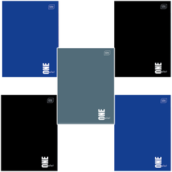 ZESZYT SZKOLNY A4 60 KARTEK KRATKA 70g ONE COLOR INTERDRUK - 5 sztuk