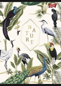 ZESZYT NATURE A5 60 KARTEK W KRATKĘ KRATKA UNIPAP