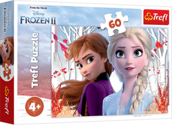 PUZZLE 60 ELEMENTÓW KRAINA LODU: ZACZAROWANY ŚWIAT ANNY I ELSY 17333