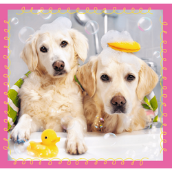 PUZZLE 3W1 PIESKI W KĄPIELI 20 36 50 TREFL 34845