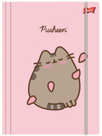 TECZKA Z GUMKĄ A4 PUSHEEN KOT KOTEK LAMINOWANA SZKOLNA MAJEWSKI PINK