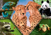 PUZZLE 100 EL PIĘKNO NATURY DISCOVERY - TREFL