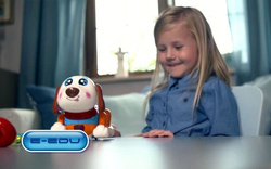 CHORY PSIAK Z AKCESORIAMI PIESEK U LEKARZA PL