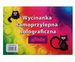 WYCINANKA SAMOPRZYLEPNA HOLOGRAFICZNA SFINKS A4