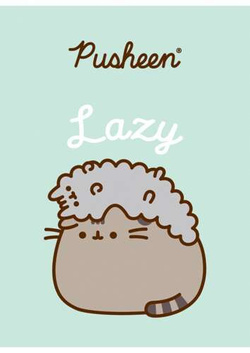 ZESZYT W 3 LINIE A5/32 KARTKI PUSHEEN KOTEK LAMINOWANY ZESTAW 4w1 UNIPAP