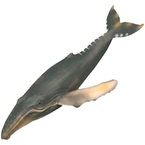 HUMBAK WIELORYB ZOOLANDIA FIGURKA KOLEKCJONERSKIE ŚWIAT ZWIERZĄT