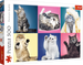 PUZZLE 500 ELEMENTÓW KOCIAKI KOTY KOT KOLAŻ UKŁADANKA - 37377 TREFL