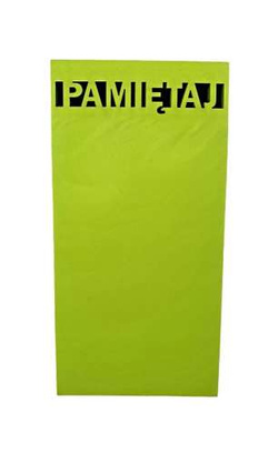 KARTECZKI SAMOPRZYLEPNE PAMIĘTAJ Z MAGNESEM NA LODÓWKĘ 75x150mm 51K NEON