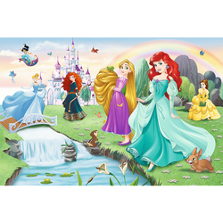 PUZZLE 60 ELEMENTÓW POZNAJ KSIĘŻNICZKI DISNEY 17361 UKŁADANKA TREFL