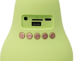 ZESTAW KARAOKE GŁOŚNIK Z MIKROFONEM BEZPRZEWODOWYM GRUSZKA LED RGB USB C