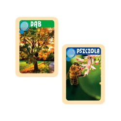 OKDRYWCY NATURY ZESTAW EDUKACYJNY Z LORNETKĄ NAUKOWA ZABAWA CLEMENTONI