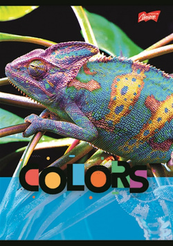 ZESZYT DO SŁÓWEK A6 KRATKA 16 KARTEK NOTATNIK SZKOLNY ST.MAJEWSKI - 8 sztuk