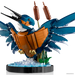 LEGO ICONS PTAK ZIMORODEK RUCHOMY MODEL KOLEKCJONERSKI KINGFISHER 834 EL.