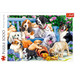 PUZZLE 1000 ELEMENTÓW. PSY W OGRODZIE PIESKI UKŁADANKA 10556 - TREFL