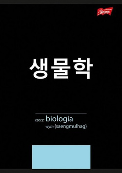 10W1 ZESZYTY PRZEDMIOTOWE ZE ŚCIĄGĄ A5 60K UNIPAP