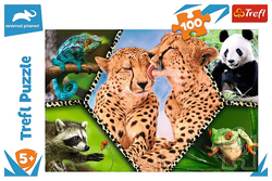 PUZZLE 100 EL PIĘKNO NATURY DISCOVERY - TREFL