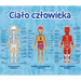 GRA EDUKACYJNA DLA DZIECI CIAŁO CZŁOWIEKA MISTRZ WIEDZY ANATOMIA - TREFL