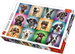 PUZZLE 1000 EL. ZABAWNE PSIE PORTRETY PIESKI KOLAŻ UKŁADANKA TREFL 10462
