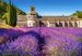 PUZZLE POLA LAWENDY LAVENDER FIELD IN PROVENCE 1000 CASTORLAND