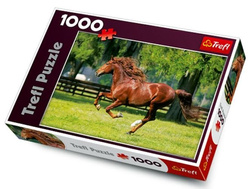 PUZZLE GALOP KOŃ W GALOPIE 1000 EL - TREFL