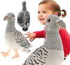 GOŁĄB POCZTOWY SKALNY PLUSZOWY SZARY PTASZEK MASKOTKA GOŁĘBIE SZARY PTAK