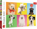 PUZZLE 500 ELEMENTÓW PIESKI PSY PIES KOLAŻ UKŁADANKA - 37378 TREFL