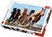 PUZZLE GALOPUJĄCE KONIE 1000 ELEMENTÓW UKŁADANKA TREFL 10446