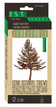 OŁÓWEK Z DREWNA CEDROWEGO HB-2H ST. MAJEWSKI CEDRLOVE 12 SZTUK ARTYSTYCZNE