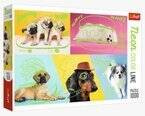 PUZZLE NEON COLOR ODLOTOWE PSY PIESKI MOPS JAMNIK 1000 EL TREFL 10578