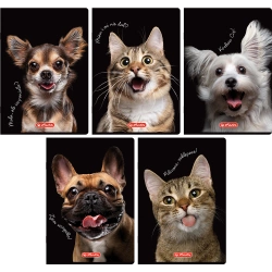 ZESZYT A5 KRATKA 60 KARTEK MARGINES HERLITZ CRAZY ANIMALS ZWIERZĘTA - 5 szt