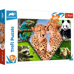 PUZZLE 100 EL PIĘKNO NATURY DISCOVERY - TREFL