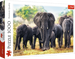 PUZZLE 1000 ELEMENTÓW AFRYKAŃSKIE SŁONIE SAWANNA UKŁADANKA TREFL 10442