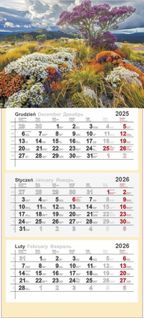 KALENDARZ ŚCIENNY TRÓJDZIELNY Z NUMERACJĄ TYGODNI KWIATOWE WZGÓRZE 2026 ROK