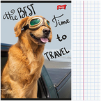 ZESZYT A5 W KRATKĘ 60 KARTEK LAMINOWANY UNIPAP MAJEWSKI TRAVELER